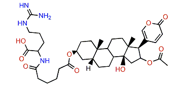 3-(N-Adipoyl argininyl)-cinobufagin